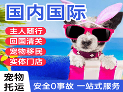 上海航空邮寄国际宠物托运 【国